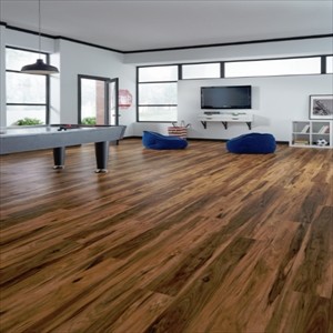 Spicebark Hickory